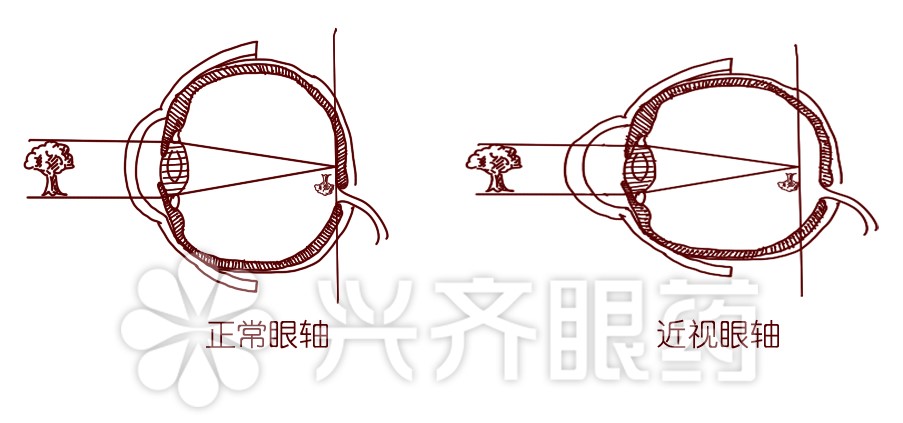 云之家图片20180412094605.jpg