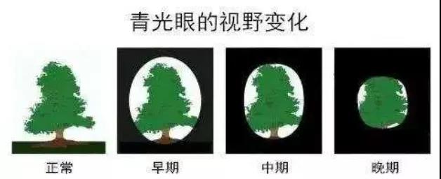 1639723549182070881.jpg 5.jpg